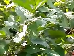Its hidden camp